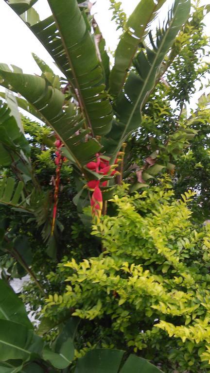 Sol E Cia Casa De Temporada Villa Caraguatatuba Buitenkant foto